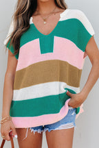 Multicolour Color Block Notch V Neck Sweater T Shirt