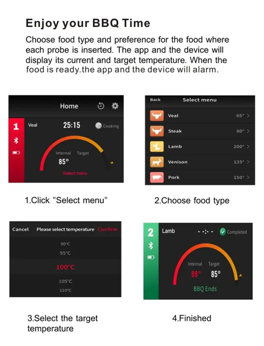 Chef's Precision Bluetooth Thermometer