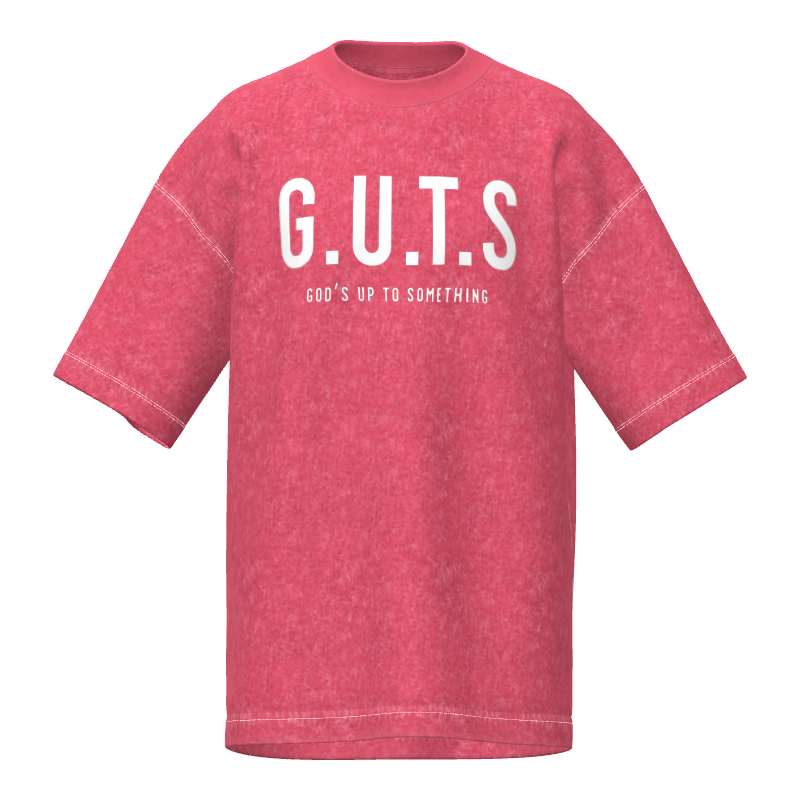 G.U.T.S Snow Wash Tee