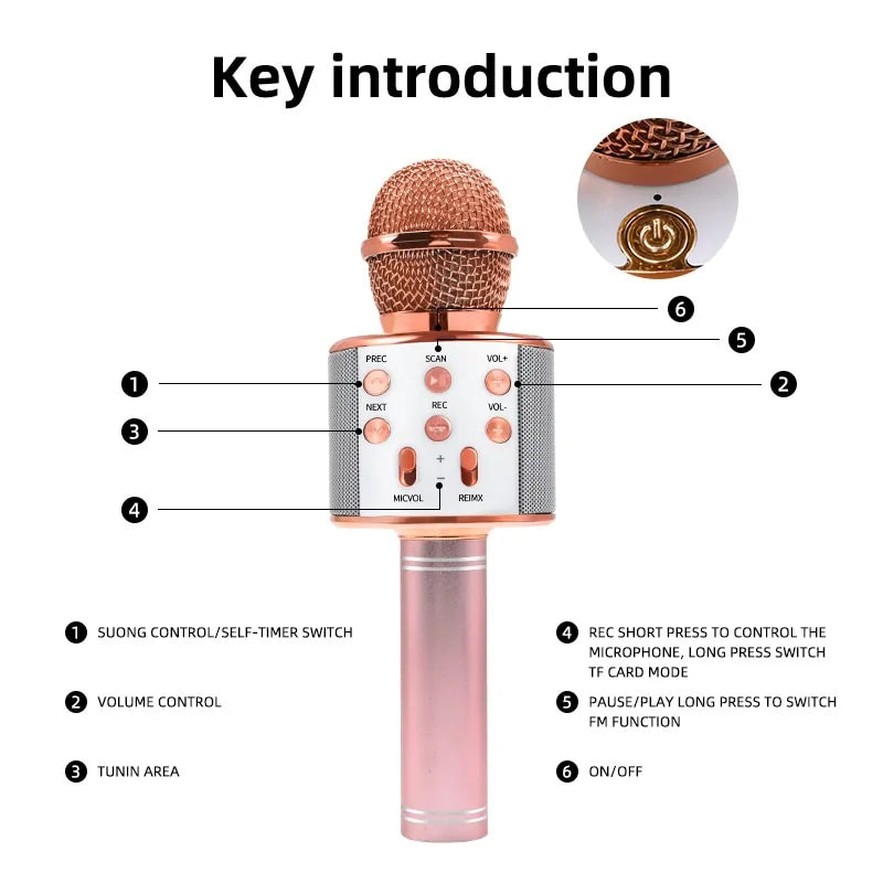 SingStar Portable Karaoke Mic