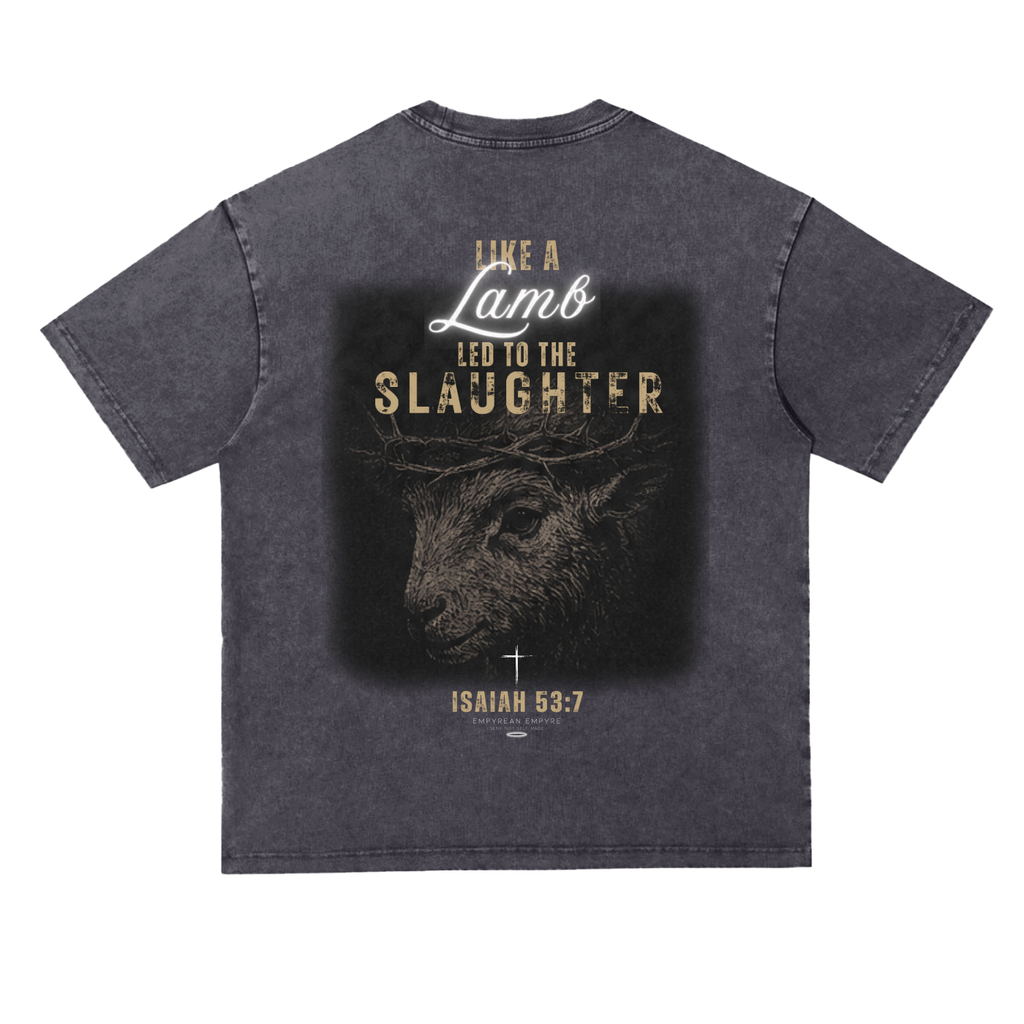 Silent Lamb Snow Wash Heavyweight Oversize Tee