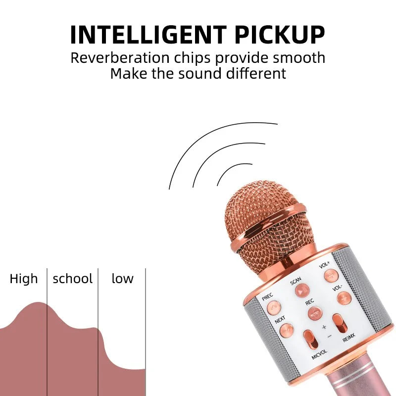 SingStar Portable Karaoke Mic